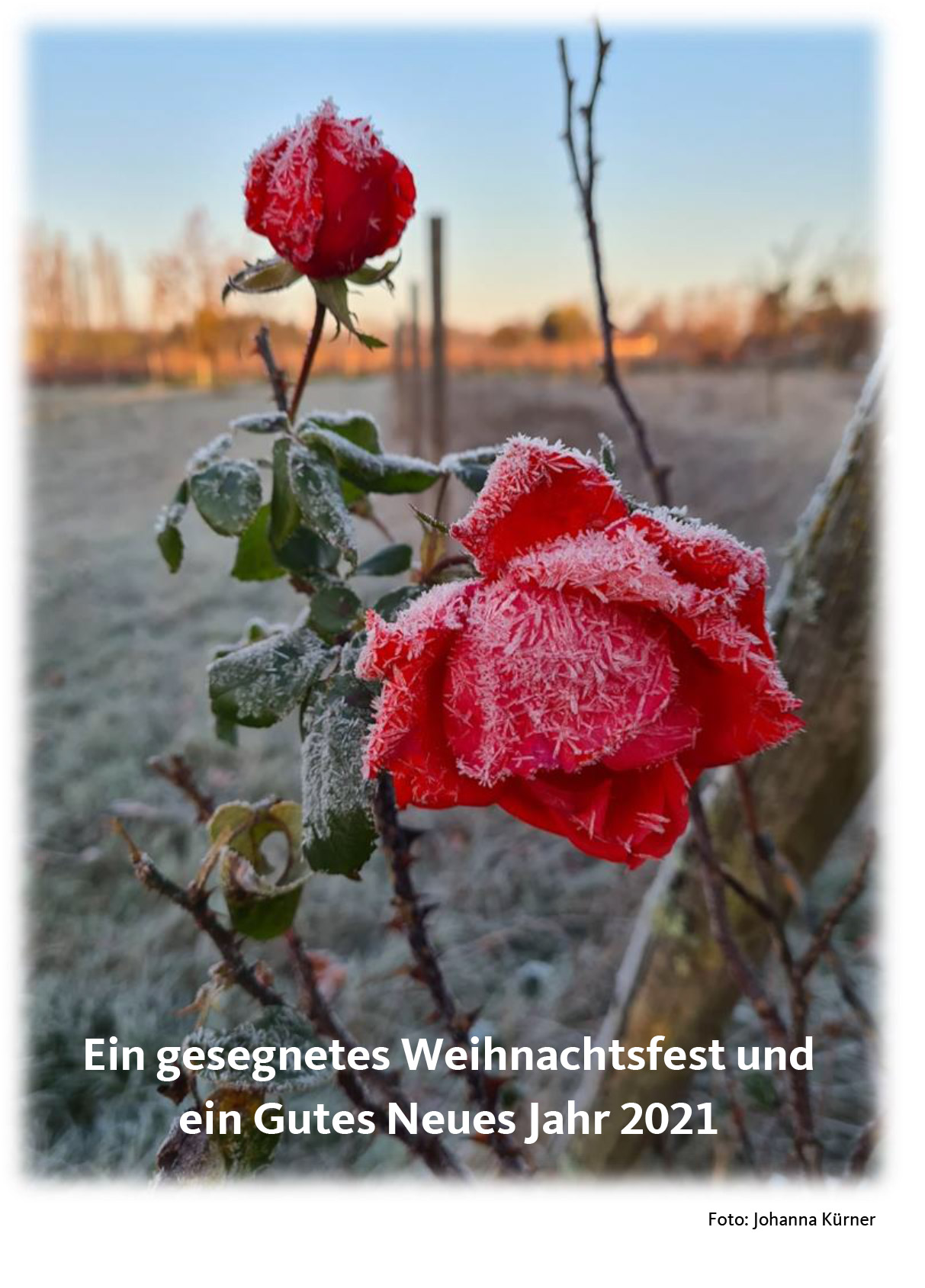 Weihnachtskarte 2020 CDU Ortsverband Winzenheim